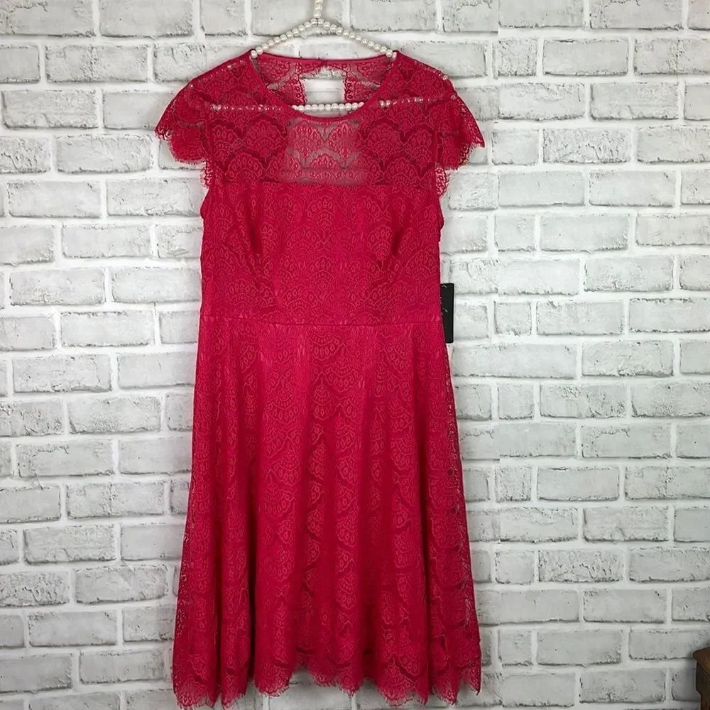 New Kash and Jess Pink Lace Dress Size Medium